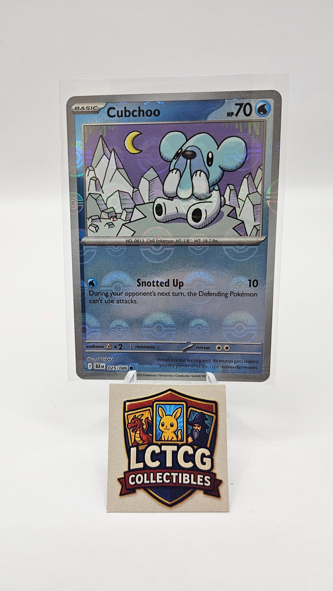 Image of Cubchoo Black Bolt (BLK) #25