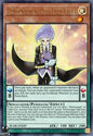 Performapal Odd-Eyes Valet BLMR-EN029 YuGiOh Battles Of Legend: Monstrous Revenge