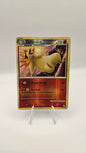 Typhlosion - 32/123 HeartGold SoulSilver (HS) Reverse Holo HP Condition